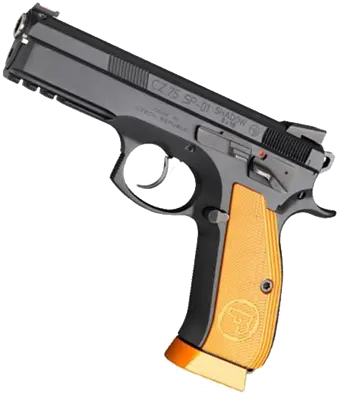 CZ Experience